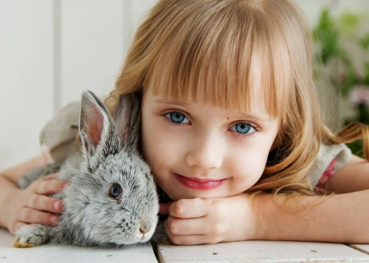 como educar a un conejo 21282 orig » Guía completa para cuidar a tu conejo en casa
