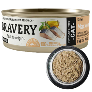 Bravery Lata Mackerel Kitten