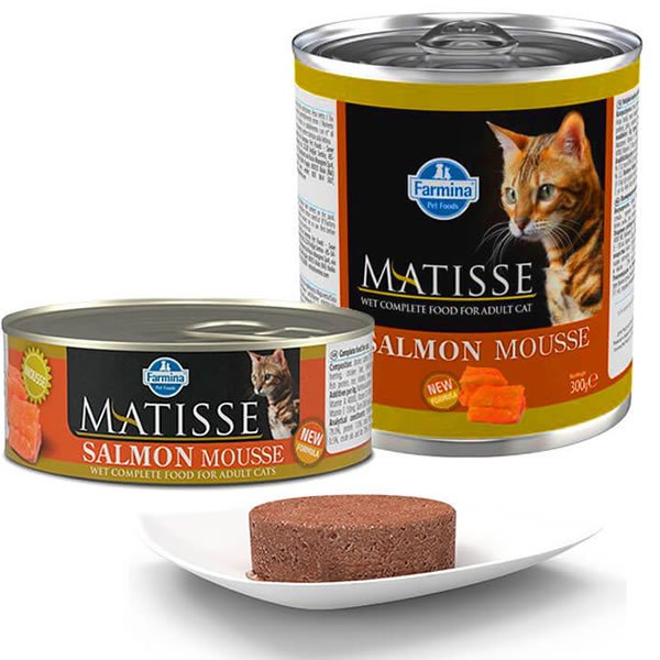 Matisse Salmón en Lata