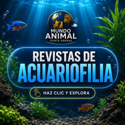 REVISTAS